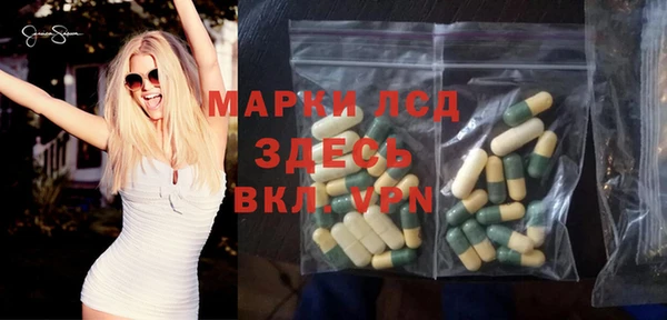 стаф Баксан