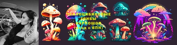 стаф Баксан