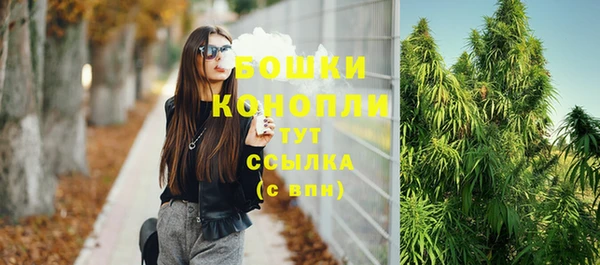 стаф Баксан