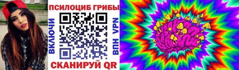 Псилоцибиновые грибы GOLDEN TEACHER  Югорск 